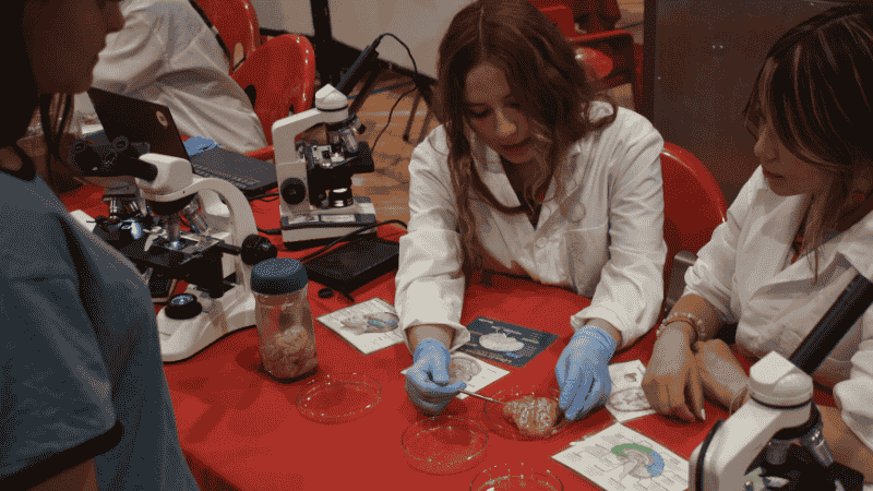 Feria de Ciencia y Tecnología