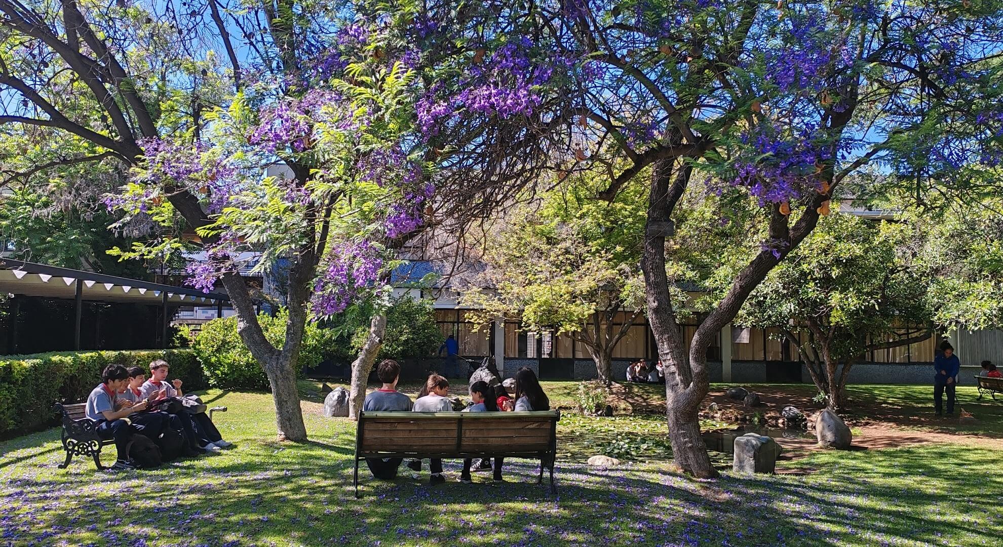 Colegio San Ignacio El Bosque