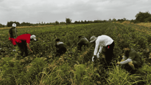 Trabajos de Verano 2026