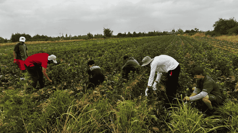 Trabajos de Verano 2026